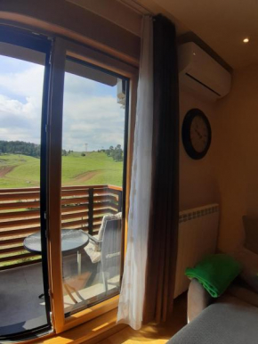 Apartman Oka
